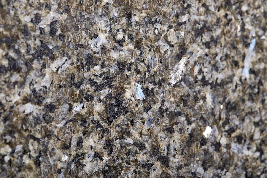 Labrador Ocean Blue – Polished