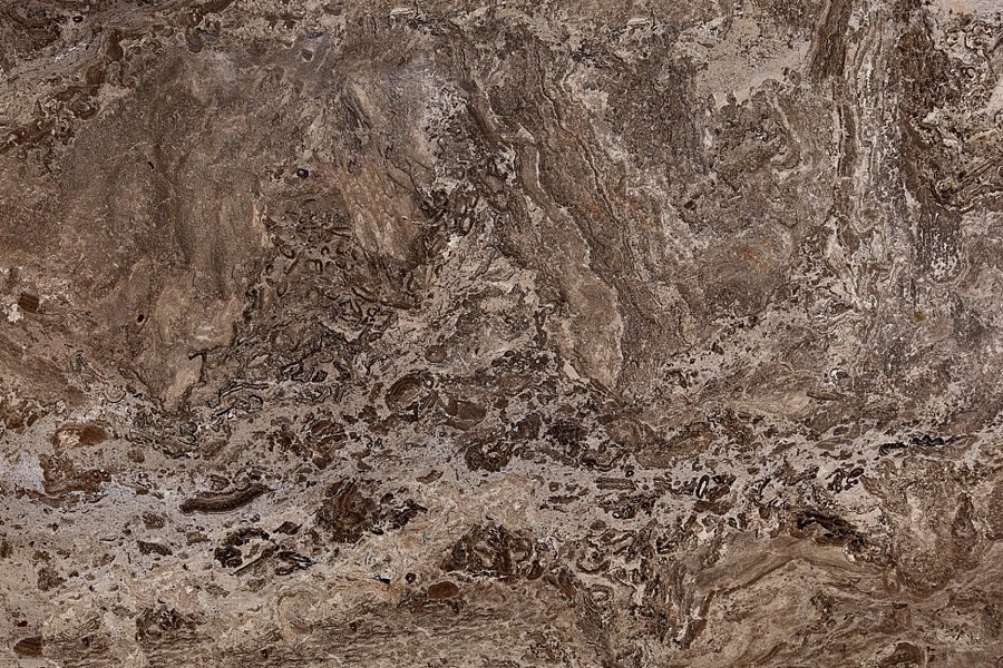 Narcisse – Polished