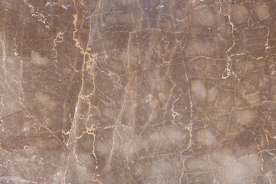 Olive Maron – Polished