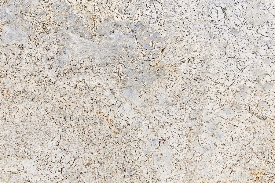 Parmi Gailo – Polished