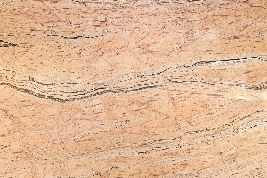 Paroda Gold – Leather & polish