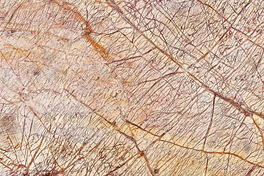 Rain Forest Brown – Polished