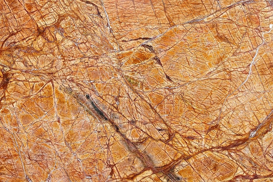 Rain Forest Gold – Polished