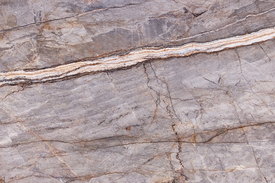 Silver Roots – Polished