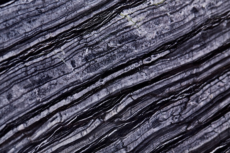 Tree Black – Polished