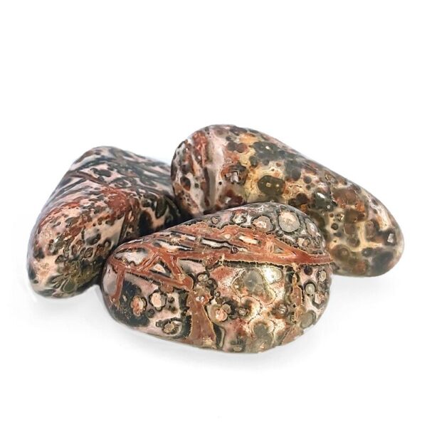 Jaspis leopardí tromlovaný XL - Image 2