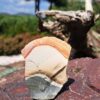 Jaspis polychrom surovina 290g