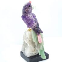 Papagáj Ametyst na Krištáli