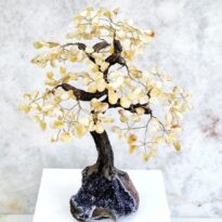 Stromček Citrín na drúze z Ametystu