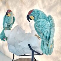 Papagáje Avanturín na Krištáľovej drúze