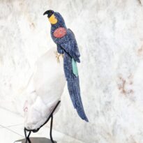 Papagáj Sodalit na Krištáľovej drúze