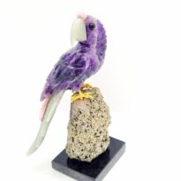 Papagáj Ametyst na Pyrite