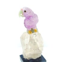 Papagáj Ametyst na Krištáli