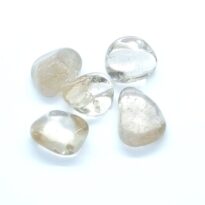 Záhneda tromlovaná L-XL