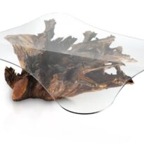 DIZAJNOVÝ SKVOST S DUŠOU STROMU