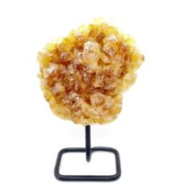 Citrín drúza na stojane