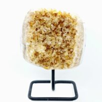 Citrín drúza na stojane