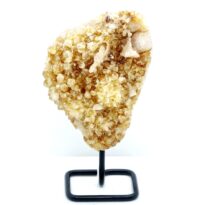 Citrín drúza na stojane