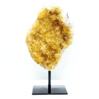 Citrín drúza na stojane