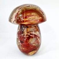 Jaspis hríbik 1,4 kg