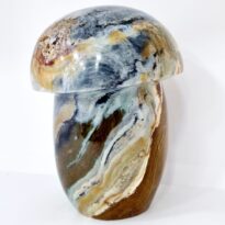 Jaspis oceánsky hríbik 3,4 kg