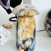 Jaspis hríbik 10,5 kg