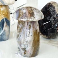 Achát hríbik 8,6 kg