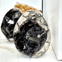 Septária DRAČIE vajce 7,9 kg