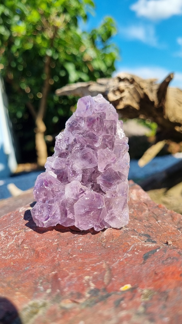 Ametyst drúza 270 gramov