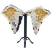 Citrín geoda 47,7 kg