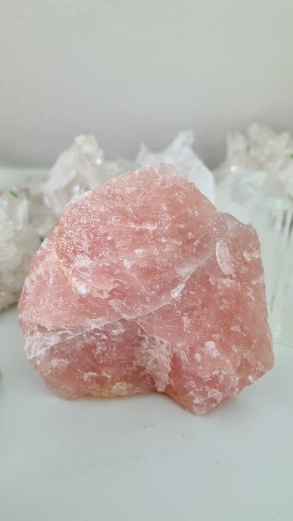 Ruženín surovina 1 kg